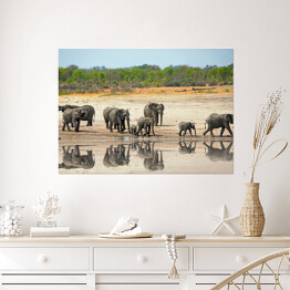 Plakat Słonie obok wodopoju w Hwange