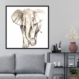 Plakat w ramie Biało czarna kwarela - ilustracja afrykańskiego słonia