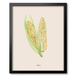 Obraz w ramie Akwarela - kukurydza