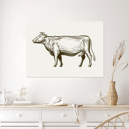 Plakat Stojąca krowa - widok z profilu