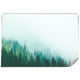 Fototapeta samoprzylepna Las w górach znikający we mgle