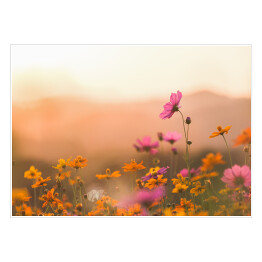 Plakat samoprzylepny Różowe kwiaty na kwiecistej łące