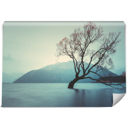 Fototapeta Drzewo w Lake Wanaka, Wyspa Południowa, Nowa Zelandia krajobraz