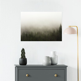 Plakat samoprzylepny Las we mgle w deszczową pogodę
