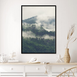Plakat w ramie Zielony las na wzgórzach we mgle