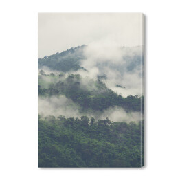 Obraz na płótnie Zielony las na wzgórzach we mgle