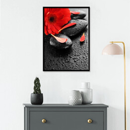 Plakat w ramie Czerwony kwiat na kamieniach do masażu
