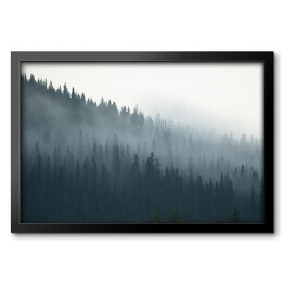 Obraz w ramie Tajemniczy kanadyjski las we mgle