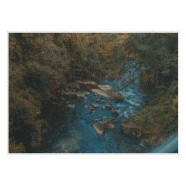 Plakat Rwąca rzeka w skandynawskim lesie
