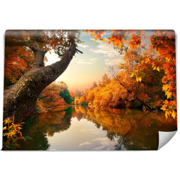 Fototapeta winylowa zmywalna Pomarańczowa jesień na rzece