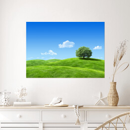 Plakat Samotne drzewo na zielonej łące w wiosenny dzień