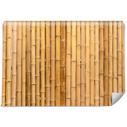 Fototapeta winylowa zmywalna Suchy bambusowy mural ścienny sprawiłby, że świetny naturalny projekt tapety, a nawet mógłby pracować jako powtarzający się wzór, aby stworzyć orientalny projekt granicy stylu.