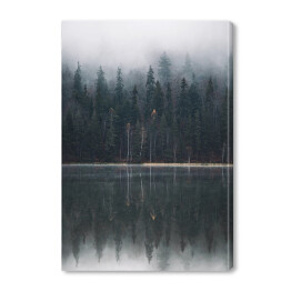 Obraz na płótnie Las we mgle na skraju jeziora