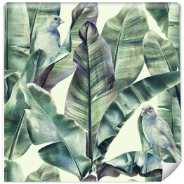 Tapeta samoprzylepna w rolce Tropikalne akwarelowe liście bananowca. Ptaki w dżungli