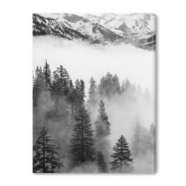Obraz na płótnie Szczyt góry oraz las we mgle
