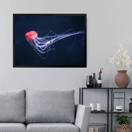 Obraz w ramie Meduza w intensywnych kolorach na niebieskim tle
