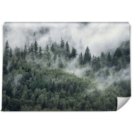 Fototapeta winylowa zmywalna Drzewa w porannej mgle. Widok na zamglony las.