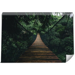 Fototapeta winylowa zmywalna Drewniany most wiszący w lesie