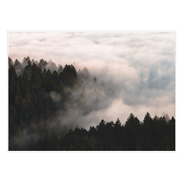 Plakat samoprzylepny Mgła nad lasem na wzgórzach