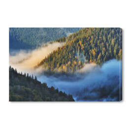 Obraz na płótnie Jesienny poranek nad górami porośniętymi lasem
