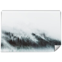 Fototapeta samoprzylepna Krajobraz lasu we mgle w górach 
