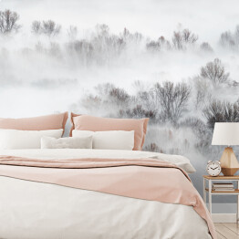 Fototapeta samoprzylepna Gęsta mgła nad lasem zimą