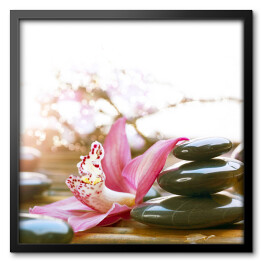 Obraz w ramie Lśniące kamienie Spa przy różowych kwiatach