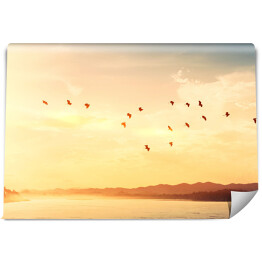 Fototapeta samoprzylepna Ptaki latające nad rzeką na zachodzie słońca niebo i chmury abstrakcyjne tło.