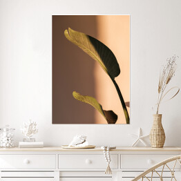 Plakat samoprzylepny Liść palmowy piękne cienie na ścianie. Kreatywna, minimalna, stylizowana koncepcja dla blogerów.