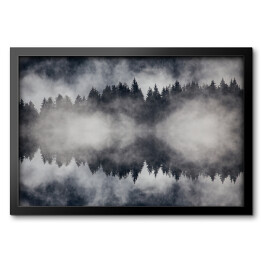Obraz w ramie Piękny mglisty las w ujęciu monochromatycznym