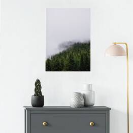 Plakat Wzgórze porośnięte lasem, w połowie pokryte mgłą