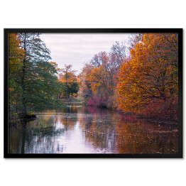 Plakat w ramie Bajkowy jesienny las nad rzeką