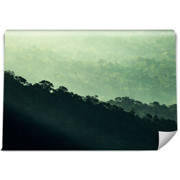 Fototapeta widok na tropikalny krajobraz leśny, sceneria przyrody w koncepcji spa relaks i leczenie wolności, wellness w parku dżungli