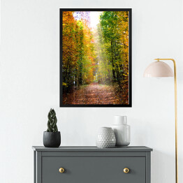 Obraz w ramie Droga prowadząca przez jesienny las