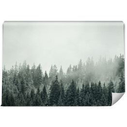 Fototapeta Niesamowite mistyczne wznoszenie się mgły niebo las śnieżny drzewa krajobraz snowscape w czarnym lesie (Schwarzwald) zima, Niemcy panorama banner - mistyczny nastrój śniegu