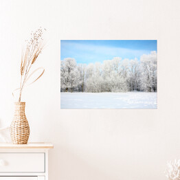 Plakat Widok panoramiczny - rosyjska zima w styczniu