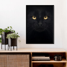 Plakat w ramie Czarny kot patrzący głęboko w oczy