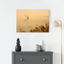 Obraz na płótnie Jeleń na polanie we mgle o poranku