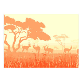 Plakat samoprzylepny Fauna i flora Afryki w jasnych kolorach