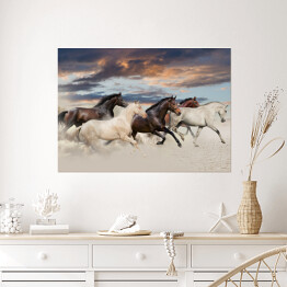 Plakat Pięć koni biegnących galopem na pustyni o zachodzie słońca