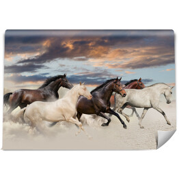 Fototapeta Pięć koni biegnących galopem na pustyni o zachodzie słońca