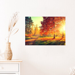 Plakat samoprzylepny Jesienny pejzaż - rozświetlone drzewa w parku 