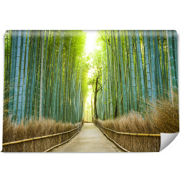 Fototapeta winylowa zmywalna Kyoto, Japonia Las bambusowy