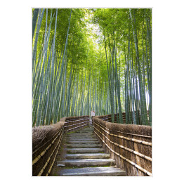 Plakat Bambusowy las - przejście blisko świątyni, Kyoto