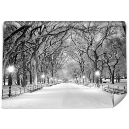 Fototapeta samoprzylepna Central Park w Nowym Jorku pokryty śniegiem o świcie