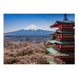 Plakat Kwitnące wiśnie na tle góry Fuji