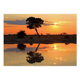 Plakat samoprzylepny Zachód słońca u wodopoju