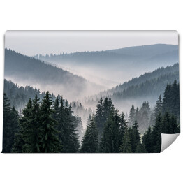Fototapeta Mglisty krajobraz - widok z gór na dolinę pokrytą mgłą