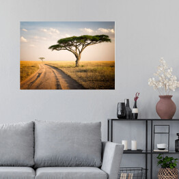 Plakat Afrykański krajobraz - Tanzania