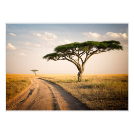 Plakat samoprzylepny Afrykański krajobraz - Tanzania